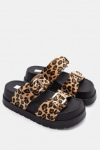 Print Animal