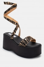 Bezhova Zebra
