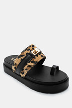 Animal Print