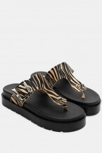 Bezhova Zebra