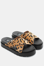 Animal Print