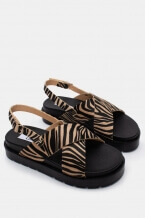 Bezhova Zebra