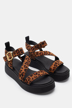 Animal Print