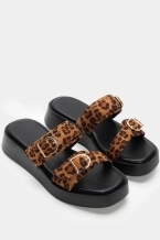 Animal Print