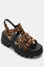 Animal Print