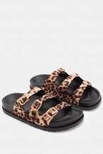 Animal Print